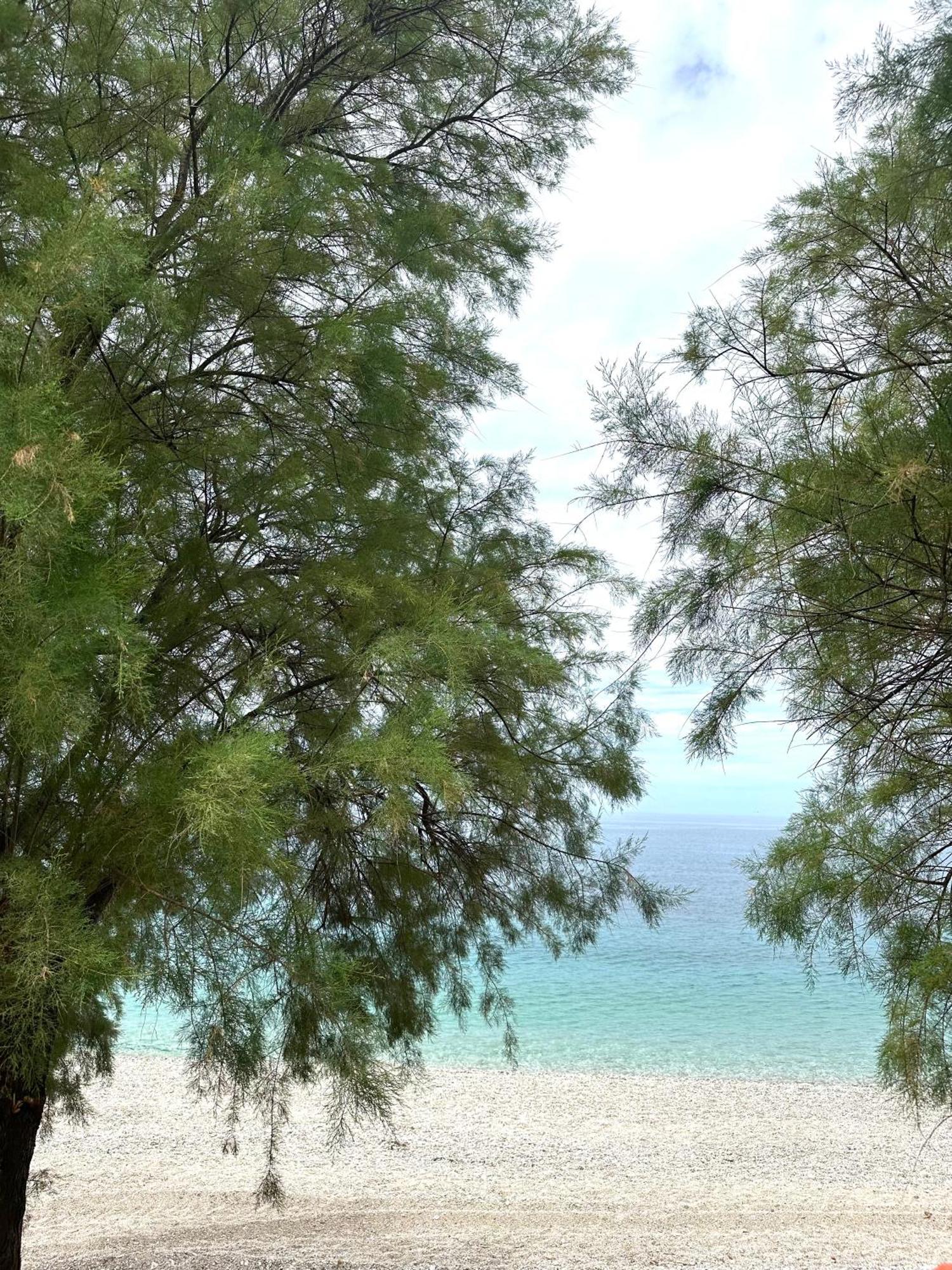 Potami Seashell Hotell Himare Eksteriør bilde